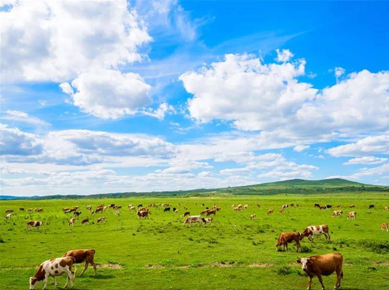 内蒙古,草原诗韵,心灵栖息的圣地