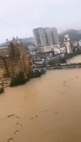 湖北之声,致敬湖北同胞,共话家国情怀