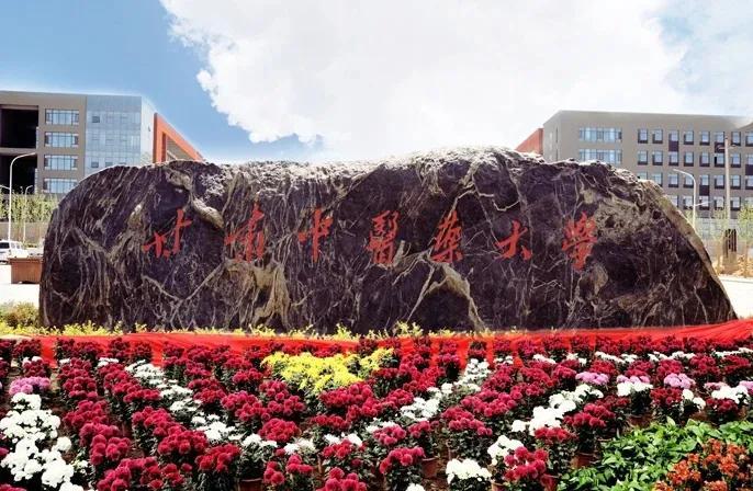 夕阳下的古老村落，甘肃某村口的沉思时刻