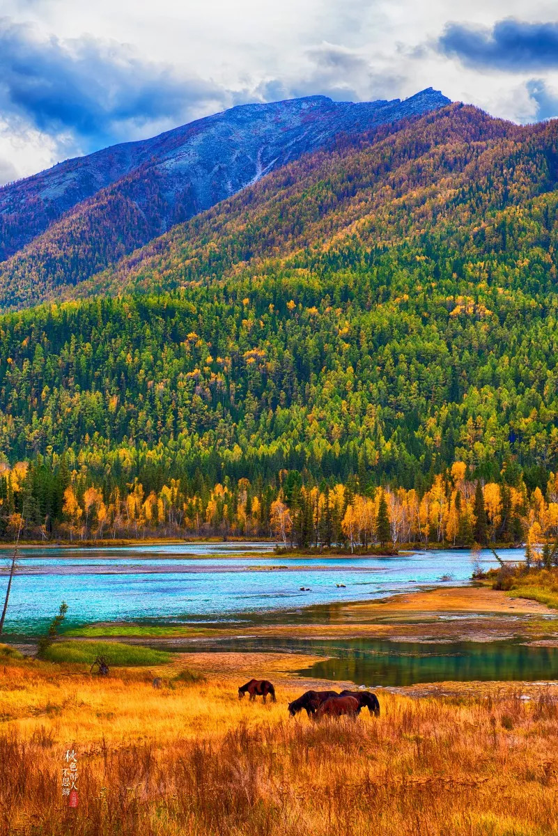 新疆古城风情街景掠影
