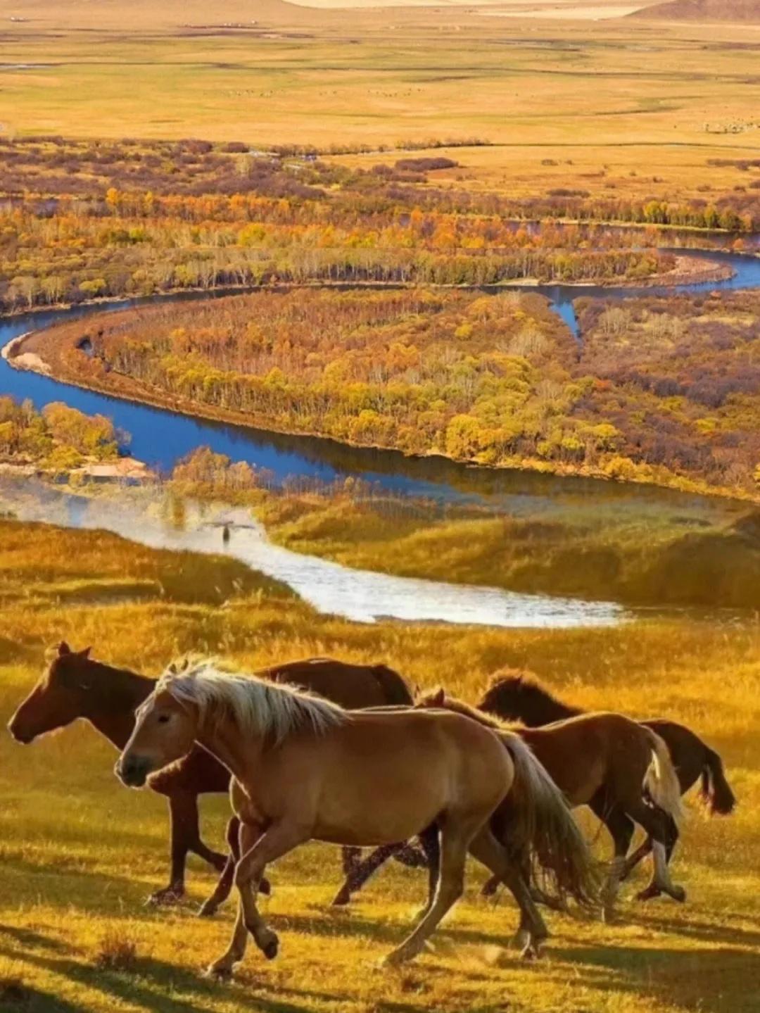 呼伦贝尔，探寻草原之韵的魅力之旅